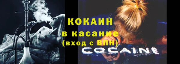 ГАЛЛЮЦИНОГЕННЫЕ ГРИБЫ Аркадак