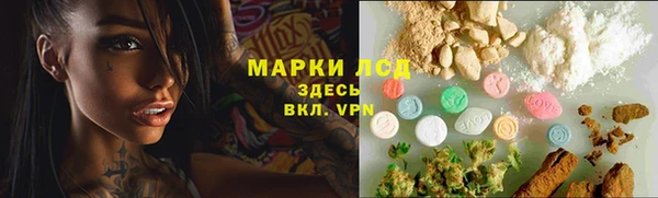ГАЛЛЮЦИНОГЕННЫЕ ГРИБЫ Аркадак