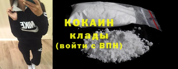 соль ск Арсеньев