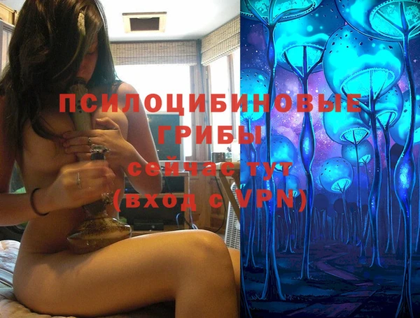 соль ск Арсеньев