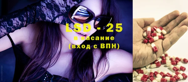 ГАЛЛЮЦИНОГЕННЫЕ ГРИБЫ Аркадак