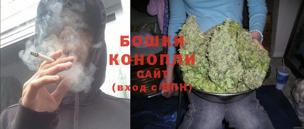 соль ск Арсеньев