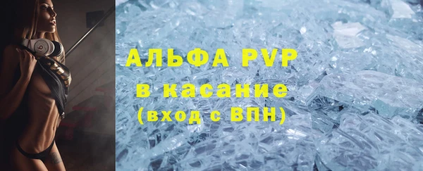 ГАЛЛЮЦИНОГЕННЫЕ ГРИБЫ Аркадак