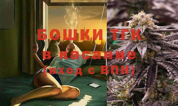 ГАЛЛЮЦИНОГЕННЫЕ ГРИБЫ Аркадак